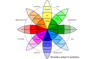 Wheel of emotions Plutchik